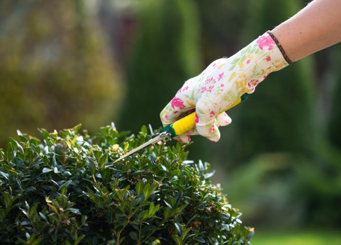 A close-up view of a gardener's hand wearing a floral patterned gardening glove, carefully trimming a dense, dark green hedge with a small pruning shear. The hedge is situated in a well-maintained outdoor garden space, with a neatly defined edge separating it from a lawn area. The lawn features lush, evenly cut grass with a vibrant green hue, extending into the background where taller trees and other shrubs are visible, suggesting a landscaped garden typical of Dulwich. The scene is evenly lit by natural daylight, with a soft focus on the background creating a sense of depth. This image exemplifies precise gardening practices and outdoor maintenance suitable for residential gardens in South London, aligning with professional services offered by Landscapers Dulwich and supporting local eco-friendly lawn and garden care expertise.