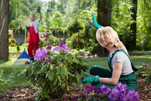 Accessible landscaping in Dulwich with inclusive website design