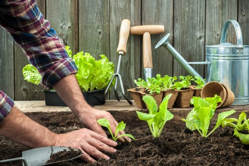 Selection of plants suitable for Dulwich landscape gardening