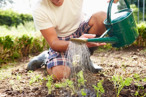 Lawn mowing equipment and tools setup