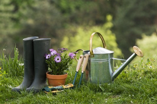 Professional lawn mowing service in Dulwich