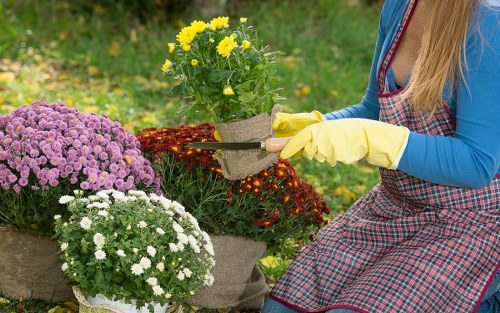 Springtime garden maintenance activities in Dulwich