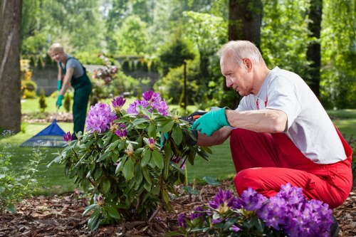 Eco-friendly pest management in a Dulwich garden