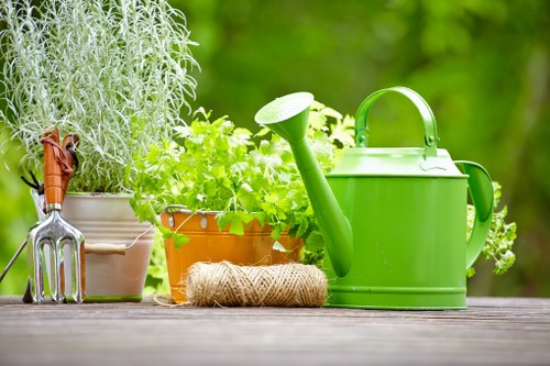 A close-up view of a garden outdoor space featuring a variety of gardening tools and plant containers placed on a wooden surface. Visible elements include a green plastic watering can, a small coiled rope, and a metal hand rake with a wooden handle. Surrounding the tools are several plant pots containing lush, green foliage, with one pot displaying tall, silvery-grey herb-like plants, and others filled with leafy green plants. The background showcases a blurred, vibrant green garden environment with natural light filtering through, suggesting a well-maintained and healthy outdoor setting, typical of residential gardens in Dulwich. The scene emphasizes tools for plant care, like watering and soil management, indicative of gardening services offered by Landscapers Dulwich, supporting a professional approach to outdoor maintenance and garden enhancements in the local area.