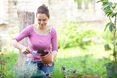 Eco-friendly landscaping solutions in Dulwich