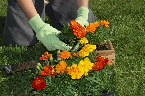 A person wearing light green gardening gloves is planting colourful marigold flowers in a small wooden planter box situated on a well-maintained green lawn. The flowers are vibrant with shades of orange, yellow, and red, contrasting against the lush green foliage. The background shows a neatly trimmed grass area, indicating an organized garden space. The scene suggests outdoor gardening activity in a residential garden yard, possibly in Dulwich, with natural sunlight illuminating the scene, highlighting the textures of the soil, flowers, and grass. This image aligns with gardening services related to flower planting, lawn care, and outdoor garden maintenance offered by companies like Landscapers Dulwich, serving local clients in the Dulwich area and surrounding postcode regions.
