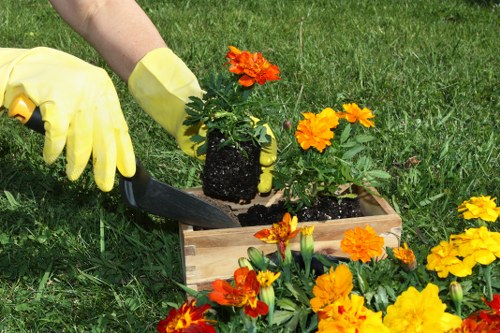 Sustainable landscaping practices by Landscapers Dulwich