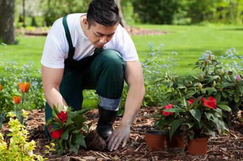 A gardener in a white T-shirt and dark green gardening overalls is kneeling on a mulched flower bed in a lush backyard, carefully tending to vibrant red and yellow flowering plants. The garden features a well-maintained lawn with dense, green grass and an organized flower border along the background, containing various shrubs and flowering plants. Tall trees and a neatly trimmed hedge provide privacy and shade, while the weather appears sunny with a bright, natural light illuminating the scene. The gardener’s focused action suggests routine outdoor maintenance, supported by the garden’s healthy appearance and carefully arranged elements, typical of professional gardening and landscaping services provided by Landscapers Dulwich in the local Dulwich area.