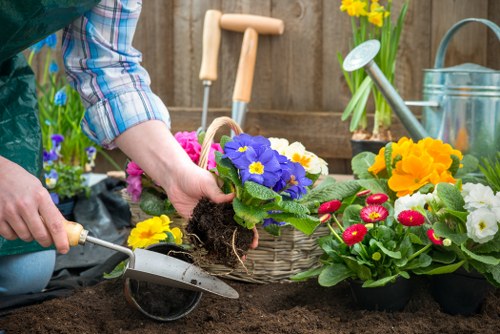 The image shows a close-up of a gardener's hands planting a colorful primrose in freshly turned dark soil within a garden. Surrounding the planting area are various potted flowering plants, including yellow, pink, and red blooms, adding vibrant natural tones. In the background, a weathered wooden garden fence is visible, along with a metal watering can and a plastic container holding other gardening tools. Part of the gardener's plaid shirt sleeve is seen, indicating outdoor activity in a well-maintained garden space typical of a suburban garden in Dulwich, South London. The scene suggests careful planting and garden maintenance services aimed at enhancing outdoor floral displays and lawn health, supported by professional landscaping efforts from Landscapers Dulwich, emphasizing gardening and outdoor care in the local area.