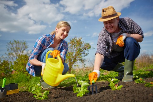 Lawn care tools and techniques for a healthy Dulwich garden