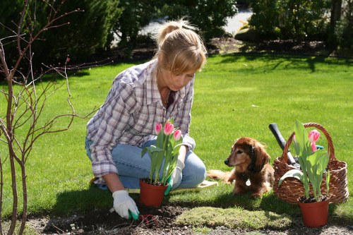 A woman with blonde hair tied back, dressed in a checkered shirt and jeans, is kneeling on a well-maintained green lawn in a garden, planting pink tulips in a small terracotta pot. She is wearing gardening gloves and appears focused on her task. To her right, a brown puppy with floppy ears is sitting on the grass, looking towards her. Next to the puppy, there is a woven basket containing additional pink tulips, with some plants already potted in matching containers placed nearby on the grass. The background features a lush, leafy hedge and mature trees, with dappled sunlight illuminating the scene. The garden layout shows a neatly edged flower bed with fresh soil and a healthy, dense lawn, suggesting regular maintenance by landscapers like Dulwich-based professionals. The natural outdoor environment creates a peaceful setting for garden enhancements or lawn care services, emphasizing a healthy, thriving outdoor space in a residential area near Dulwich.