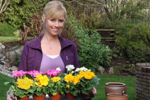 A smiling woman with blonde hair, wearing a purple jacket and white top, is standing outdoors in a garden holding a black tray with several small terracotta pots containing bright yellow, pink, and white flowering plants. The garden features a lush green lawn, a variety of shrubs and trees in the background, and a brick pathway with wooden steps leading up a slight incline. There are also a couple of empty terracotta pots placed on the grass nearby. The scene is well-lit with natural daylight, emphasizing the vibrant colours of the flowers and greenery, and reflecting a peaceful, well-maintained outdoor space suitable for gardening and landscaping services in Dulwich or surrounding areas.
