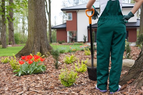 A person in green gardening overalls stands outdoors in a landscaped garden in Dulwich, holding a small shovel with an orange handle. The garden features a large mature tree with textured bark in the foreground, surrounded by a neatly mulched area with scattered small shrubs and vibrant red tulips. The background reveals a modern residential building with white and dark brick exterior walls, large windows, and a dark tiled roof, set amidst lush, treed surroundings. The scene suggests careful outdoor maintenance and gardening work typical of landscaped outdoor spaces in London, with natural light highlighting the fresh, natural tones of the grass, soil, and plants, indicative of professional garden services focused on sustainable and environmentally friendly practices.
