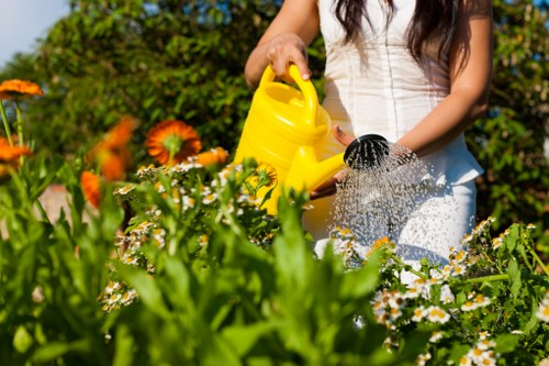 A person wearing a white sleeveless top is watering a garden bed with a yellow plastic watering can, standing in a lush outdoor space with vibrant flowers and green foliage. The garden features a variety of plant types, including blooming daisies with white petals and yellow centers, and taller orange-flowered plants in the background. The soil bed is bordered by green leafy plants, and the surrounding lawn area is dense with well-maintained grass, showing a rich green colour and even texture. In the background, there are trees and shrubbery contributing to a natural, tranquil setting under bright sunlight, suggesting a clear weather day. The scene reflects typical garden care activities, possibly involving professional landscaping or maintenance by companies such as Landscapers Dulwich, serving gardens in Dulwich or nearby areas. The image captures a moment of outdoor gardening in a residential garden or landscaped yard, emphasizing healthy plant growth and garden aesthetics, with a focus on natural colours, textures, and outdoor environment in South London.