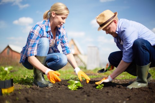 A woman and a man are working together in a garden, planting new green seedlings in freshly turned dark soil. The woman, wearing a blue plaid shirt, blue jeans, and yellow gardening gloves, is crouched down, carefully placing a seedling into the ground. The man, dressed in a light blue shirt, dark trousers, and a straw hat, is also crouched and using gardening gloves to handle the soil and plant. Behind them, the garden features a lush, green lawn with neatly trimmed grass, a hedge along the boundary, and a few trees in the background. The sky is bright blue with some scattered white clouds, suggesting a clear, pleasant weather day. Nearby, gardening tools are visible, hinting at ongoing outdoor maintenance or preparations, consistent with gardening services offered by landscapers Dulwich, who often carry out garden renovation projects across Dulwich and nearby areas in London postcode SE21. The scene highlights a productive and well-maintained outdoor space, capturing the natural tones of the soil, plants, and wooden fencing, with sunlight illuminating the scene and emphasizing the lush, healthy garden environment.