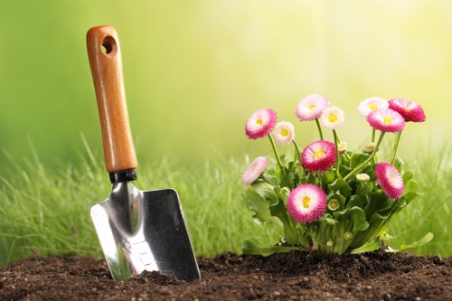 Seasonal plant selection for Dulwich gardens