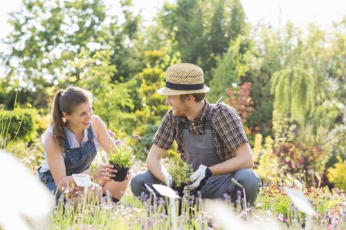 In this outdoor garden scene, a young woman and a man are engaged in gardening activities amidst a well-maintained and landscaped backyard. The woman, seated on the lawn, holds a small potted plant with purple flowers, smiling as she listens to the man, who is kneeling beside her. The man is wearing a wide-brimmed straw hat, a checked shirt, and gardening gloves, indicating involvement in planting or garden maintenance. The garden features a neatly trimmed lawn with dense green grass in the foreground, bordered by vibrant flower beds containing various plants and flowering shrubs. Tall trees with lush foliage provide natural shade in the background, along with ornamental grasses and flowering bushes that add natural diversity and colour to the scene. The lighting suggests a bright, sunny day with clear weather, highlighting the natural tones of the greenery and blooming plants. The setting exemplifies a typical residential garden that local Dulwich gardeners might care for, with a focus on outdoor lawn and floral landscaping as part of comprehensive gardening services offered by Landscapers Dulwich, situated near the postcode area of Dulwich, SE21.